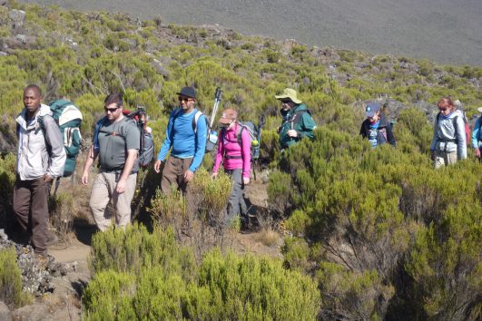 6-days-hiking-kilimanjaro-rongai-route1