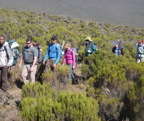 6-days-hiking-kilimanjaro-rongai-route1