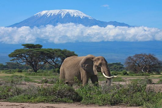 amboseli_national_park_033