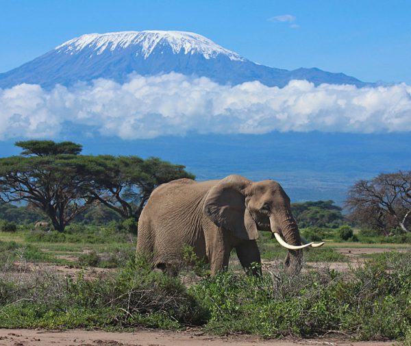 amboseli_national_park_033